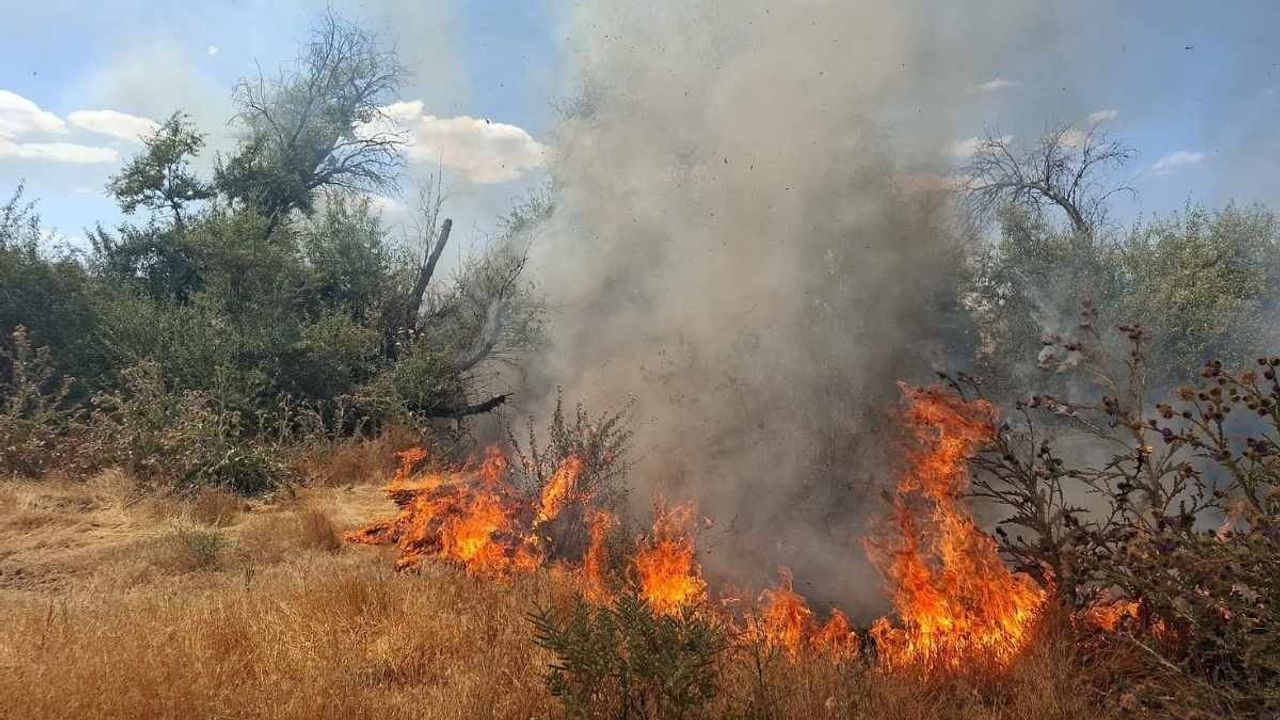 Bünyan’da yangın paniği! Alevler yulaf tarlasına sıçradı