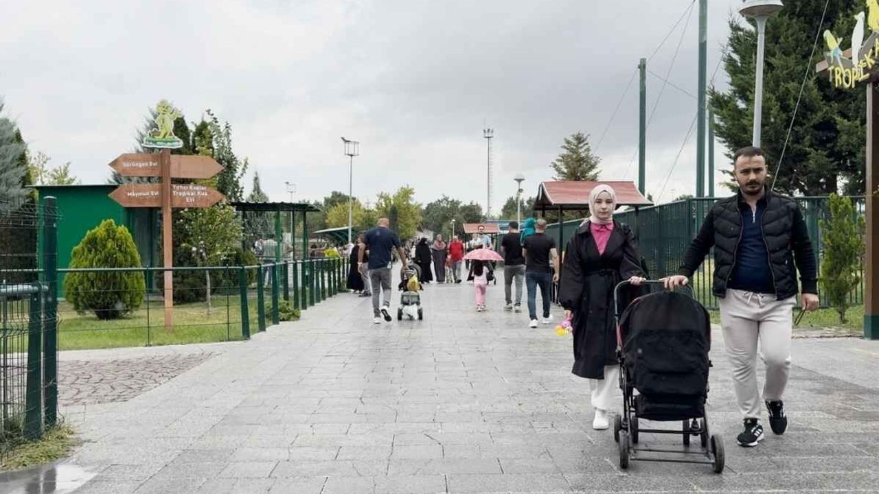 Zafer Bayramı’nda 5 bin 500 kişi hayvanat bahçesini ziyaret etti!
