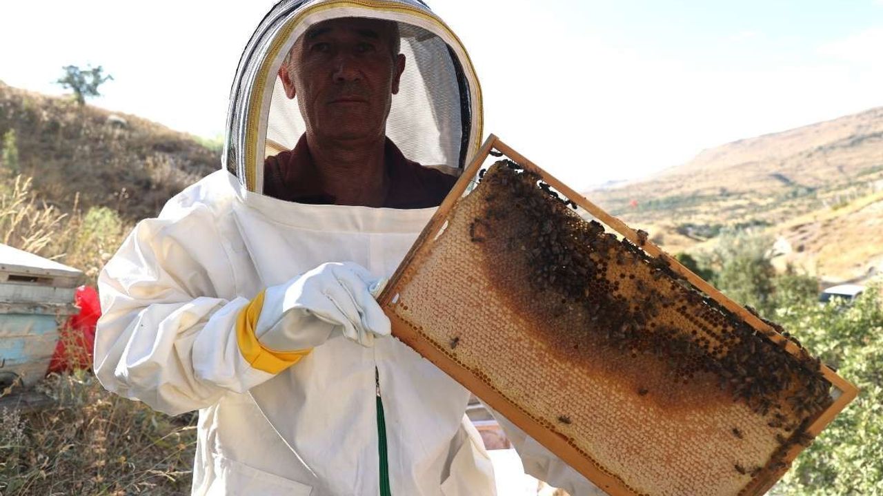 Hobi olarak başladı, Kapadokya'nın endemik zenginliğini markaya dönüştürdü