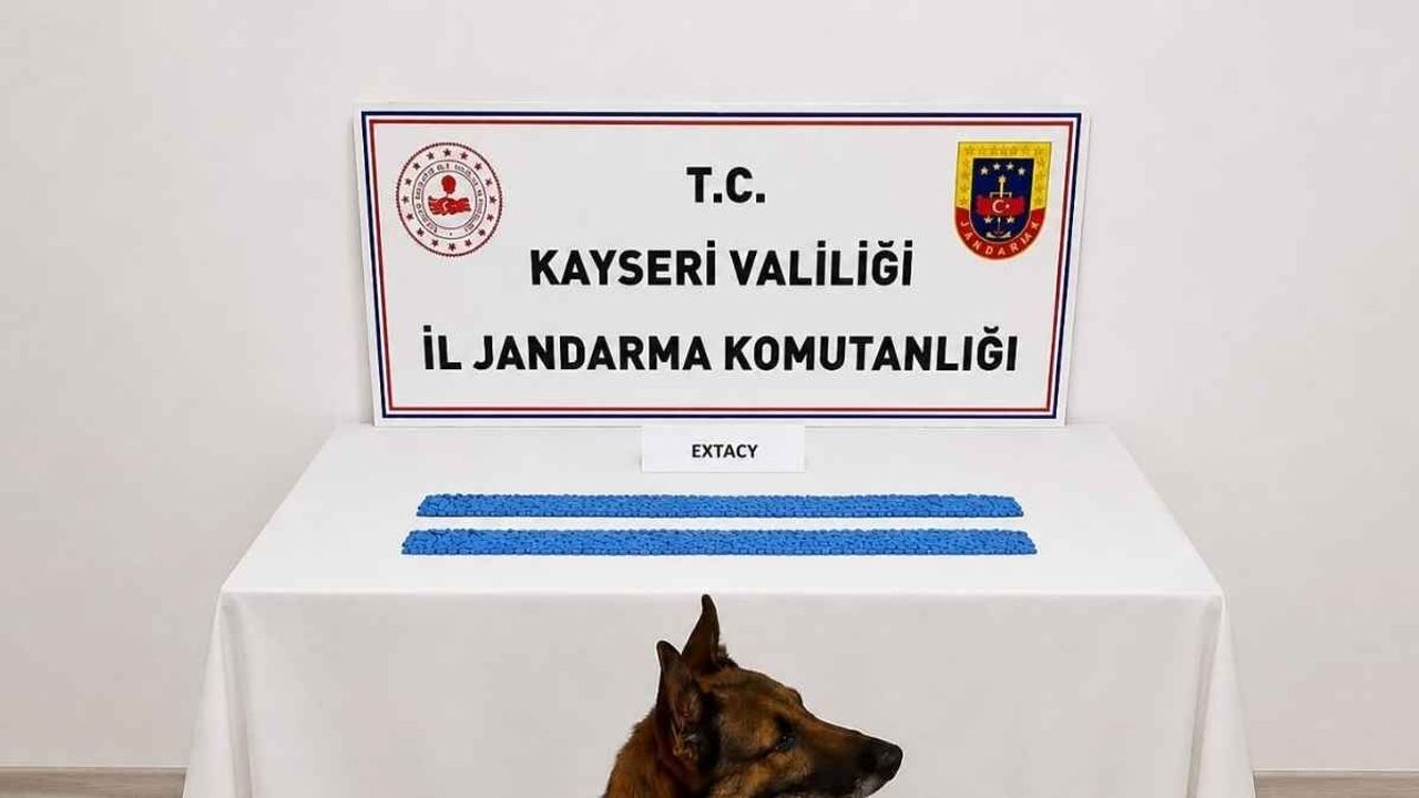 Kayseri'de torbacı operasyonu: 1 gözaltı