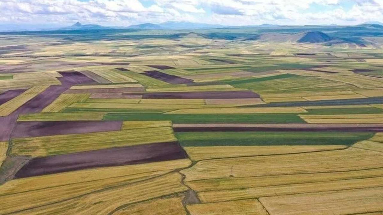 Milli Emlak Kayseri’de açık arttırmayla arsa satacak!