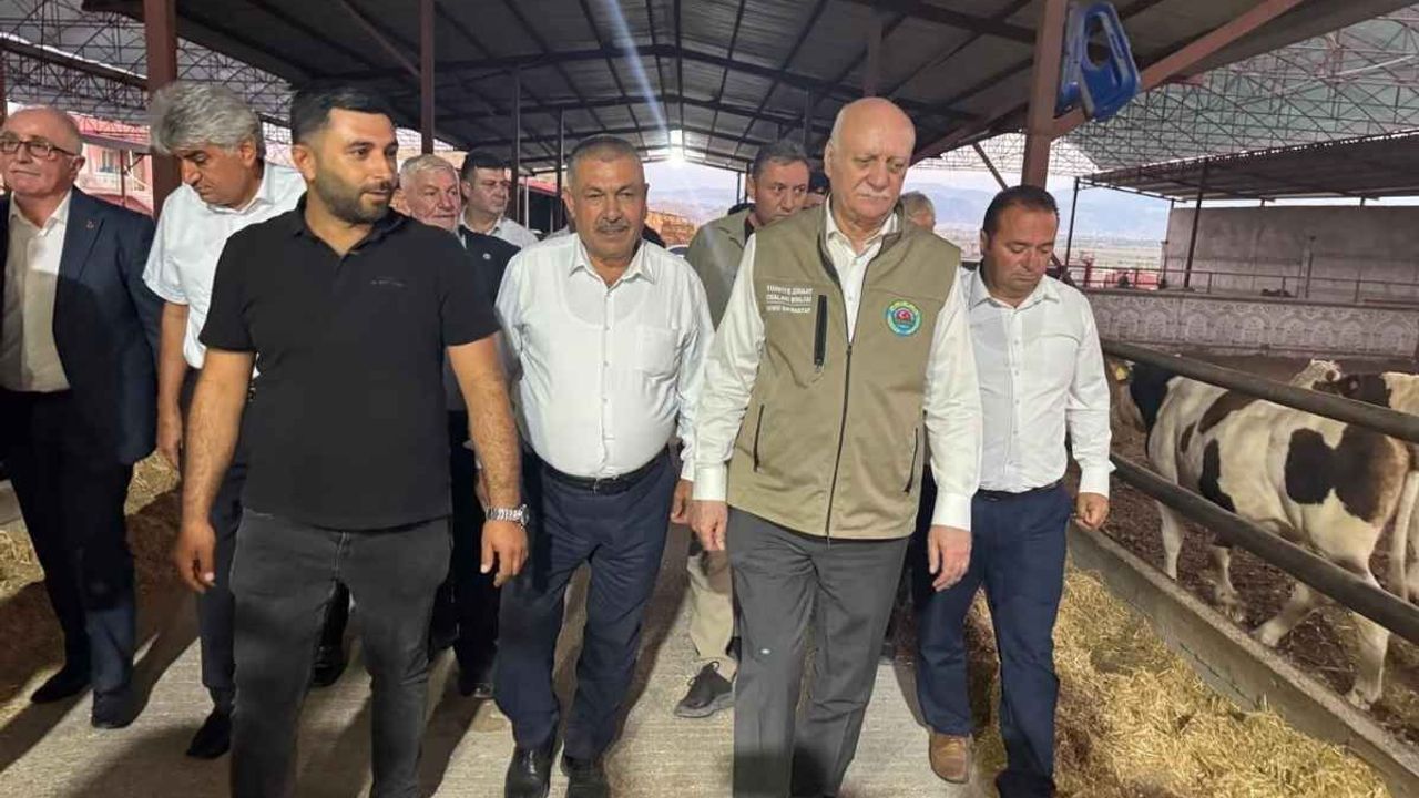 Kayseri'de hasat başladı, Şemsi Bayraktar ay çekirdeği üretiminde şaşırtan rakamı açıkladı