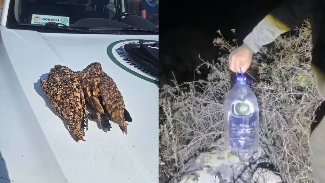 Kayseri’de nesli tehlike altındaki bağırtlak kuşunu avlayan kişi yakalandı