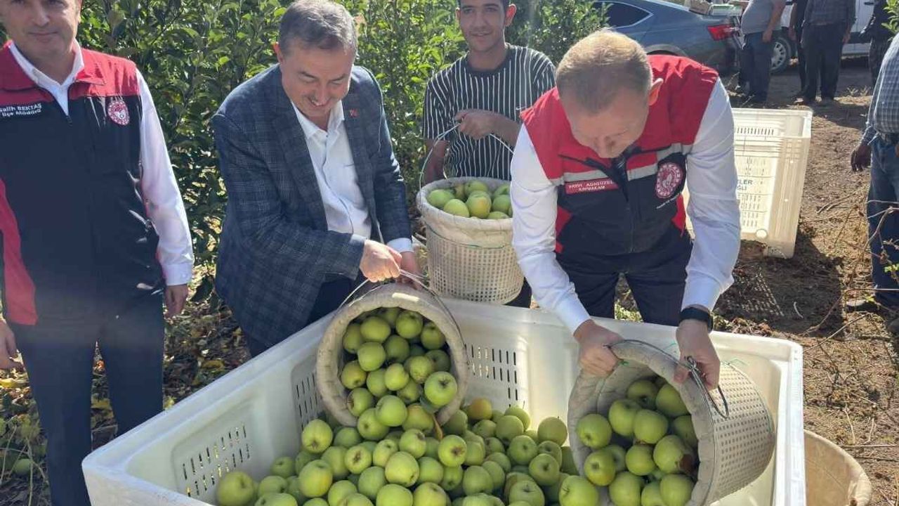 Yeşilhisar’da elma hasadı başladı: Başkan Taşyapan ve Kaymakam Adıgüzel tarlaya çıktı