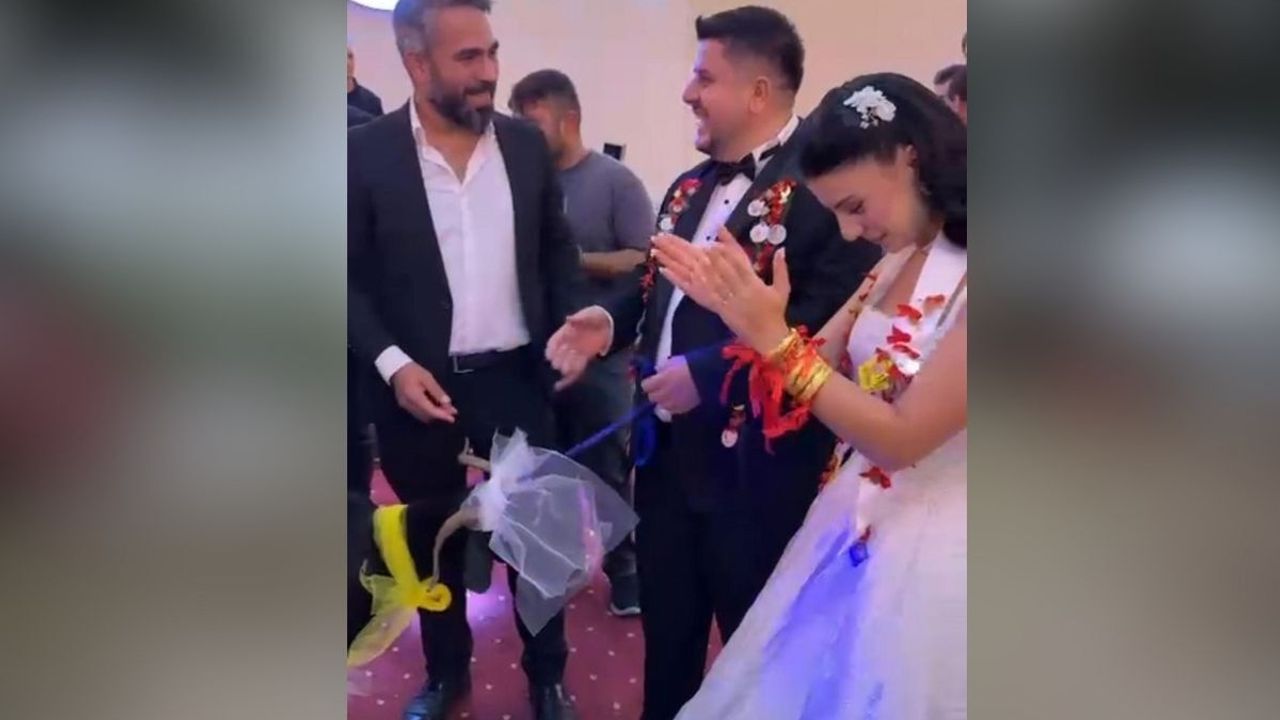 Et seven arkadaşının düğününe keçiyi süsleyip getirdi