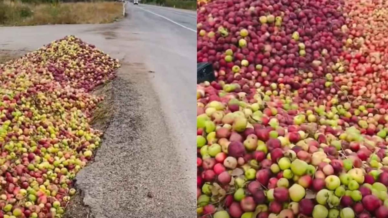 Yahyalı Belediyesi'nden elma israfı iddialarına açıklama!