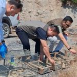 Kahramanmaraş'ta kaçak Saka kuşu avına 2,2 milyon TL ceza