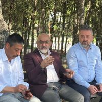 Genel