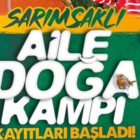 Spor