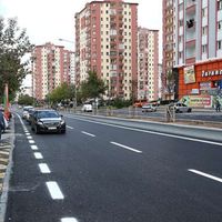 Talas