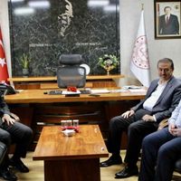 Eğitim