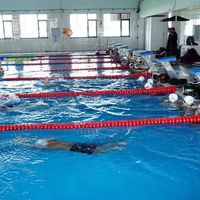 Spor