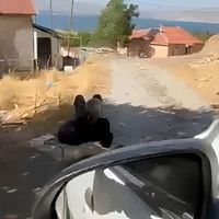 Asayiş