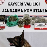 Asayiş