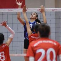 Spor