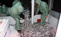 Hamsinin fiyatı, denizden tezgaha gelene kadar 3'e katlanıyor