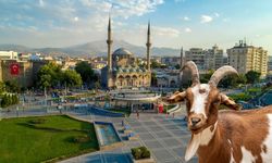Kayseri’de kurban pazarları nerelerde kurulacak? İşte tam liste