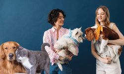 Evcil Hayvanların İnsan Psikolojisine Etkileri