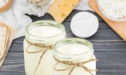 Fermente Gıdaların Sağlığa Faydaları