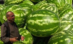 Kayseri'de karpuz krizi! Hal esnafı isyan etti