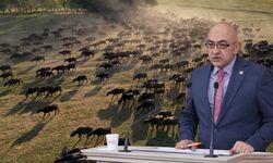 Kayserili vekil müjdeyi verdi! Üreticiye 1 buçuk milyon TL hibe edilecek