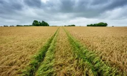Kayseri'de arabadan ucuza arsa satılacak: Mahkeme son tarihi açıkladı