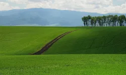 Melikgazi'de iki arsa birden satılacak: Devlet dairesi fiyatlarını açıkladı