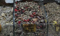 Uzmanlar Açıkladı: Diyabet çayıyla kan şekerinizi dengelemek mümkün