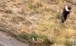 Kürekle öldüresiye vurdu: Çığlıkları mahalleyi inletti!