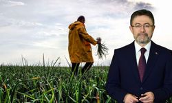 255 Milyon Liralık Tarımsal Destek Ödemesi çiftçilerin hesaplarına aktarılıyor