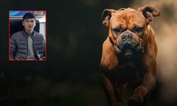 16 yaşındaki genç köpekten kaçarken canından oldu!