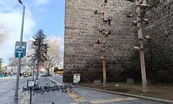 Kayseri’de 20 Nisan Pazartesi günü hava nasıl olacak?