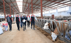 İl müdürü sahaya indi: Melikgazi mercek altında!