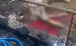 İncesu’da ahır yandı: 12 büyükbaş hayvan telef oldu!