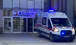 Başıboş sokak köpekleri yine can aldı! 5 yaşındaki çocuk hayatını kaybetti