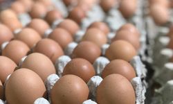 Ev hanımları yumurta haşlamanın püf noktasını buldu: Böyle çok kolay soyuluyor