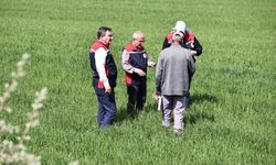 Yağış sonrası çiftçilere hastalık uyarısı!
