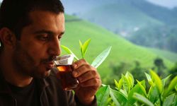 En çok çay tüketilen yerler belli oldu