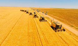 Kayseri’de en çok üretilen ürünler listesi belli oldu: İlk sırada bakın hangi ürün var!