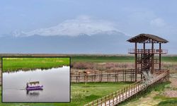 Kayseri’nin kuş cenneti ziyaretçilerini bekliyor