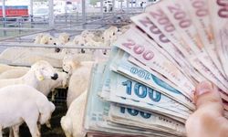 Kurbanın gizli faturası ortaya çıktı: Her kaleme tek tek zam geldi