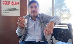 Tosun darbesiyle yaralandı: 60 dikiş atıldı