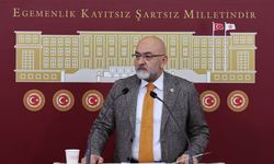 AK Partili Cıngı’dan TBMM’de başıboş sokak köpekleri açıklaması! ’Devlet millet el ele vermeli’