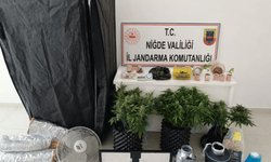 Yasa dışı ekim yapan 4 şüpheliye gözaltı!