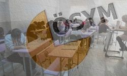 e-YDS 2026 sonuç ekranı açıldı