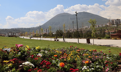 Talas çiçek şenliği için geri sayım başladı