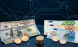 Dolar 46 liranın üzerindeki seyrini korudu