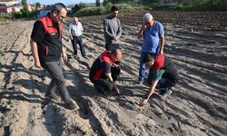 Develi’de meydana gelen sel ve dolu yağışı tarım alanlarını vurdu: Bülent Saklav’dan inceleme!
