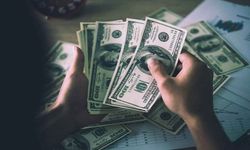 Dövizde yeni rekor: Dolar 46,12 tl’yi aştı