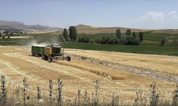 Kayserili üreticilerin beklediği hububat alım fiyatları belli oldu!